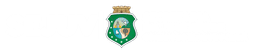 Nome do parceiro: Secretaria da Juventude do Governo do Estado do Ceará  
                   , 