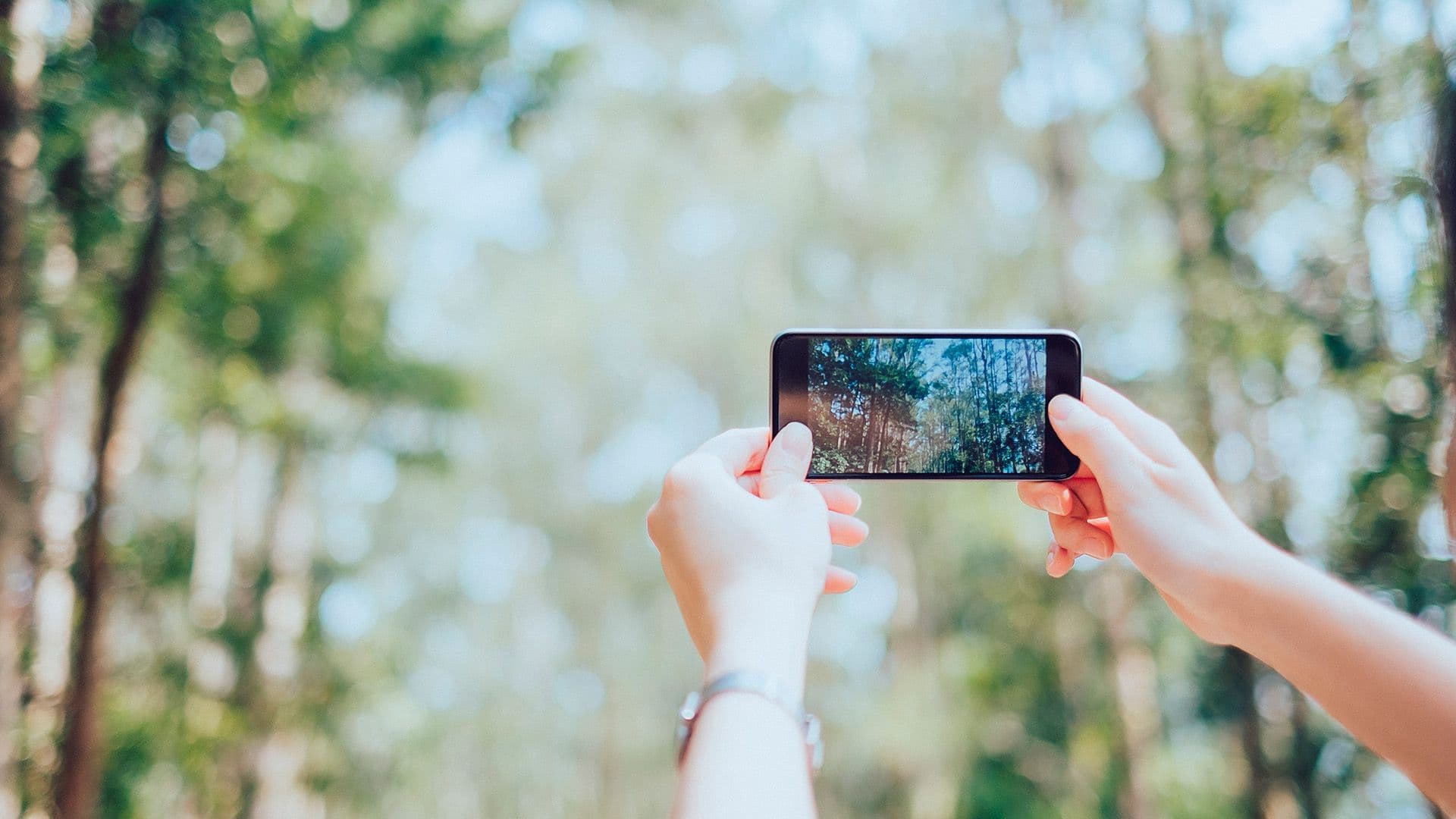 Bom de trato: edição, tratamento e manipulação de fotografias