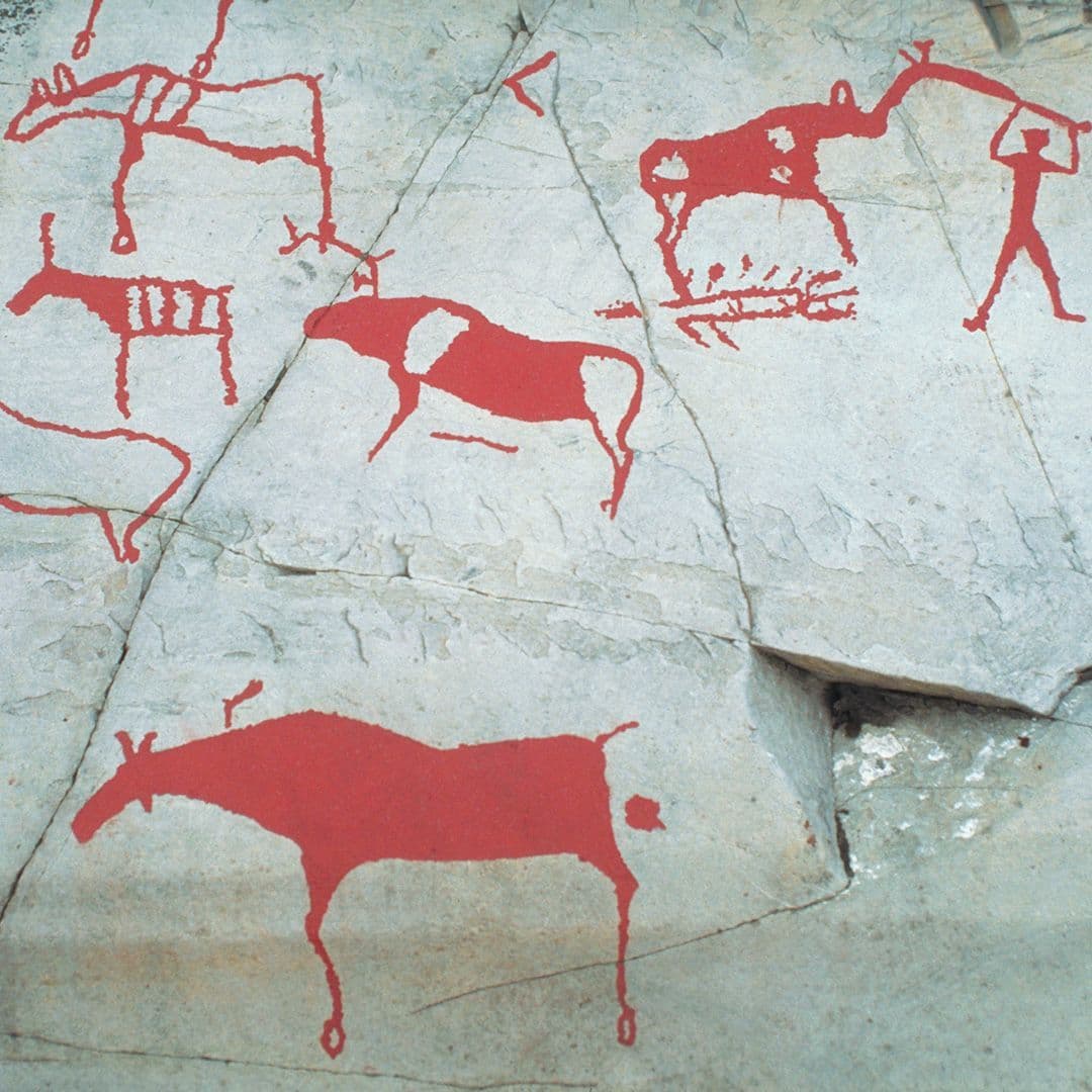 Contar histórias com imagens e sons: uma introdução ao roteiro audiovisual